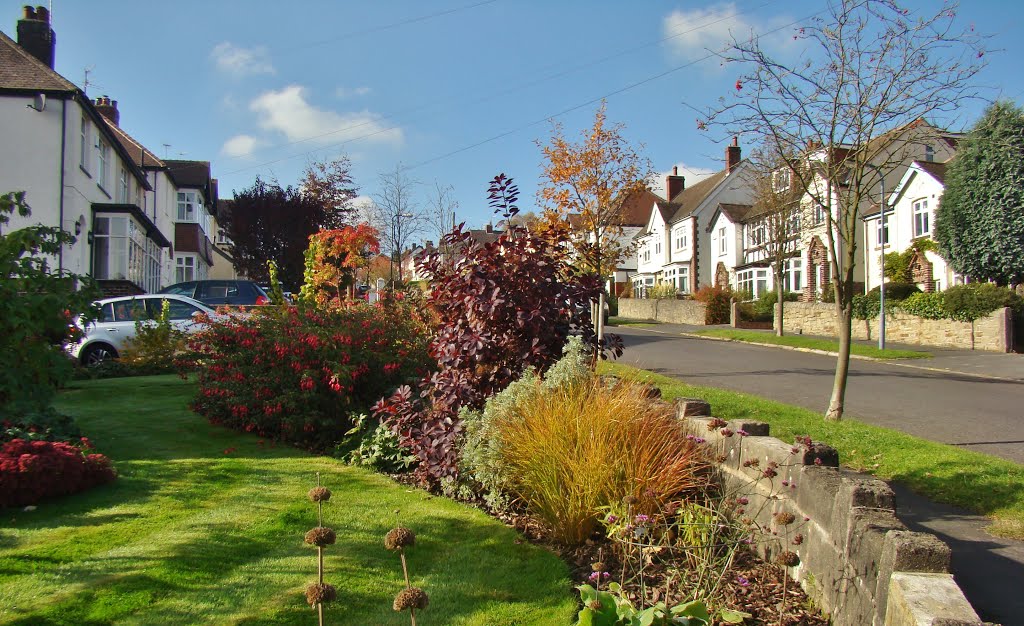 Autumnal garden on the corner of Whitfield Road/Brooklands Avenue looking up Brooklands Avenue, Fulwood, Sheffield S10 by sixxsix