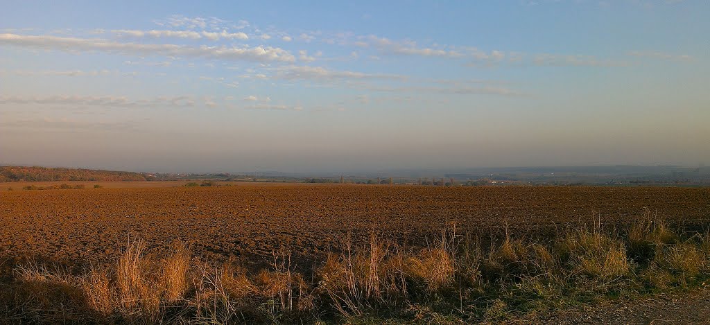 Weitblick by Andreas B. Otte