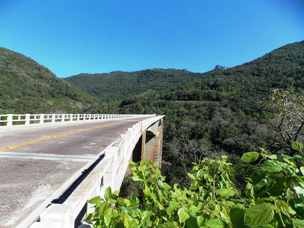 PONTE SOBRE O RIO DAS ANTAS-DIVISA DE ANTÔNIO PRADO E FLORES DA CUNHA-RS by Sidnei Recco