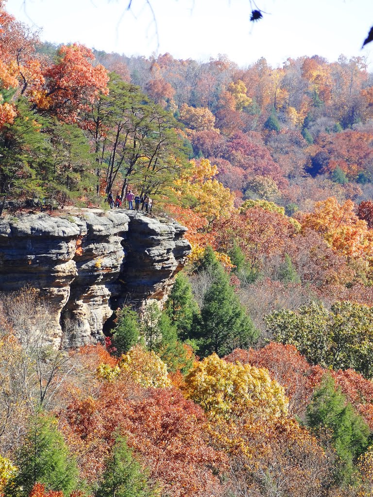 Conkles Hollow, Hocking Hills by McSky