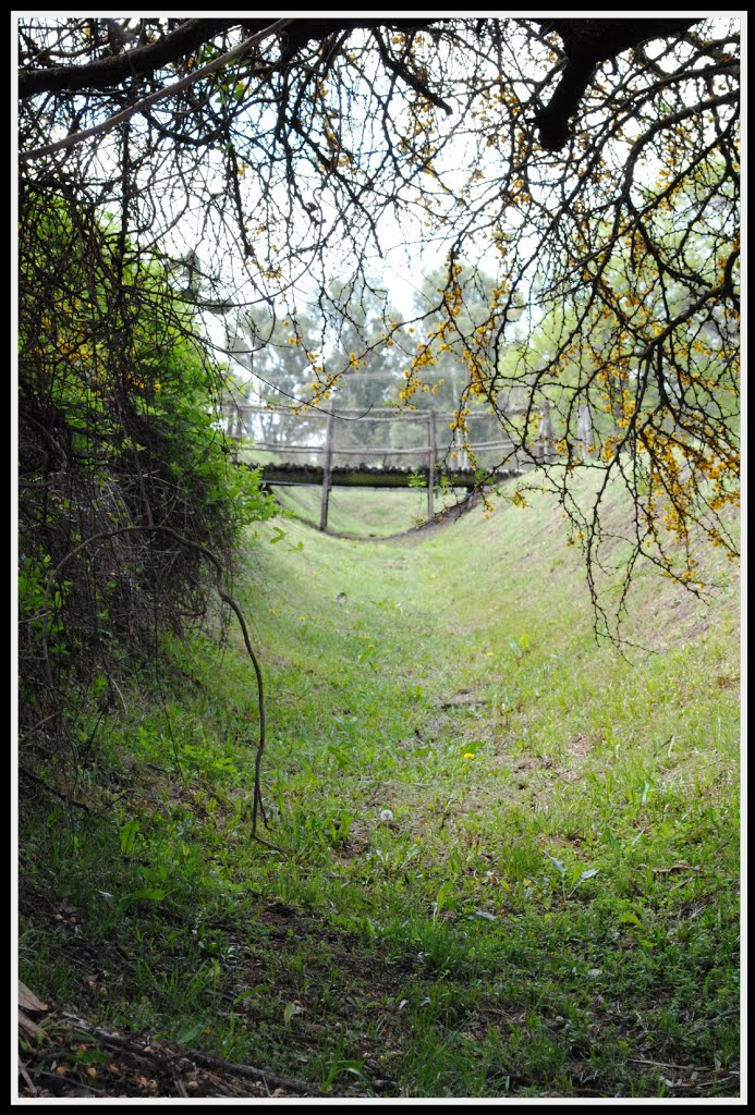 Museo Ricardo Güiraldes - Areco by Carla R.