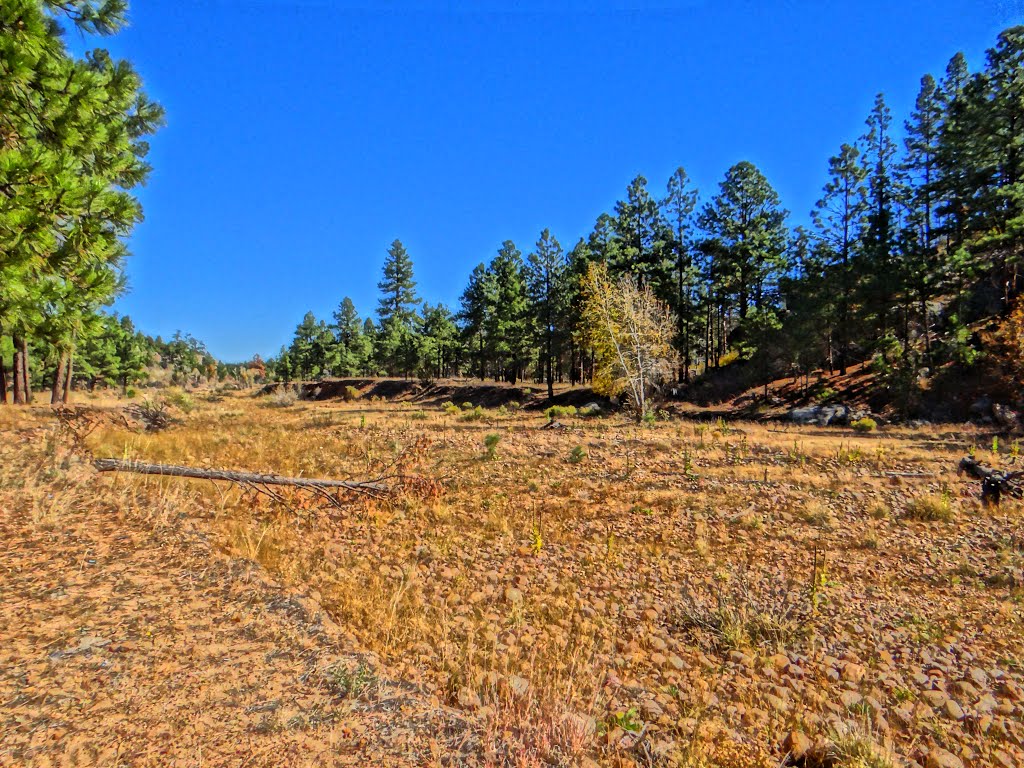 Facing North [HDR] by MAL10587