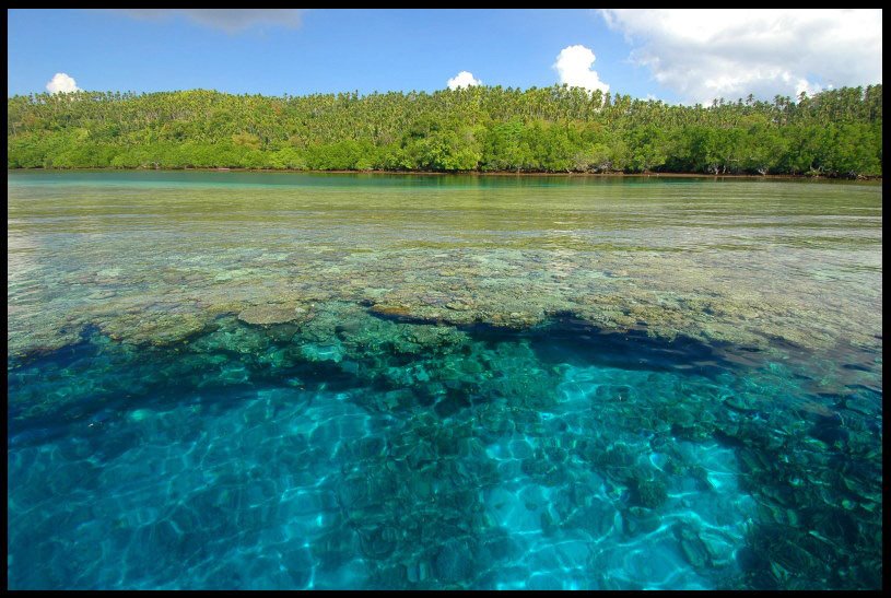 Coral Reefs, Bunaken by magicsea