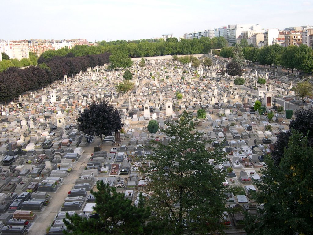 Cimetière de Montrouge by im gonna groove