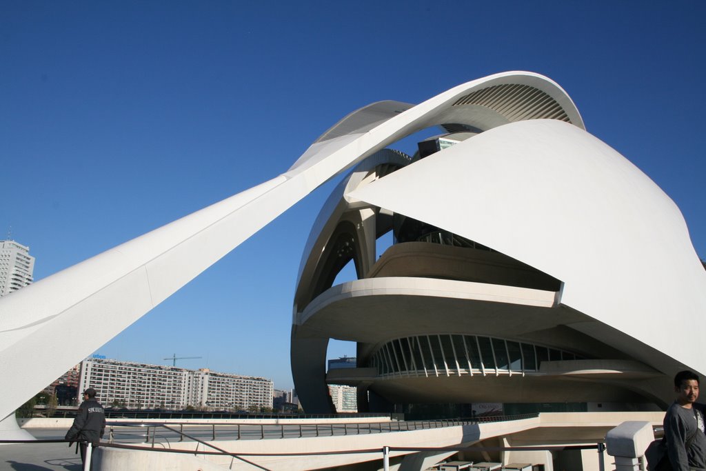 Palau de les Arts Reina Sofia by Tracy Sparkes