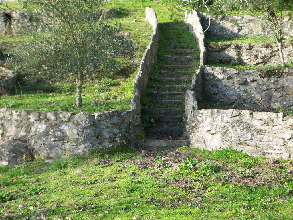 Escaleira casi típica de laxas by Rio Loña Or