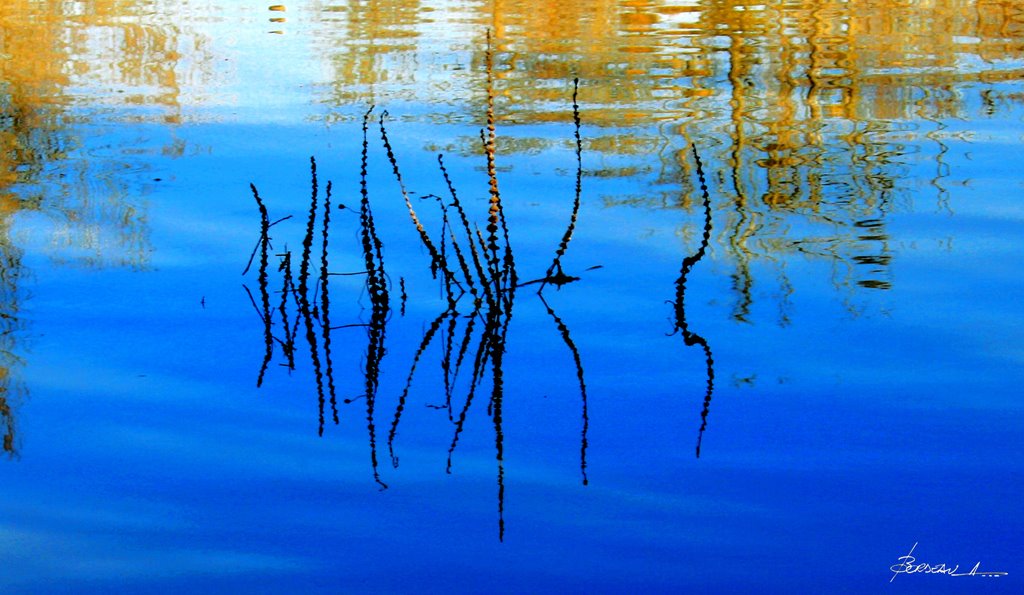 "débordement"...VILLEVÊQUE...MAINE et LOIRE...FRANCE. by BORDEAU Alain.(NO VI…