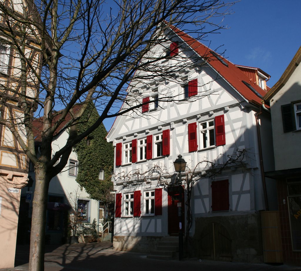 Weingärtnerhaus by Hans-Dieter Fas