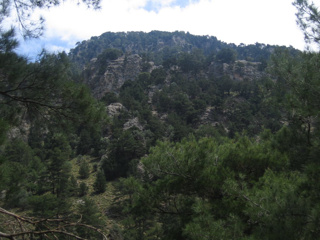 Samaria Gorge by Alexander S Mamontov