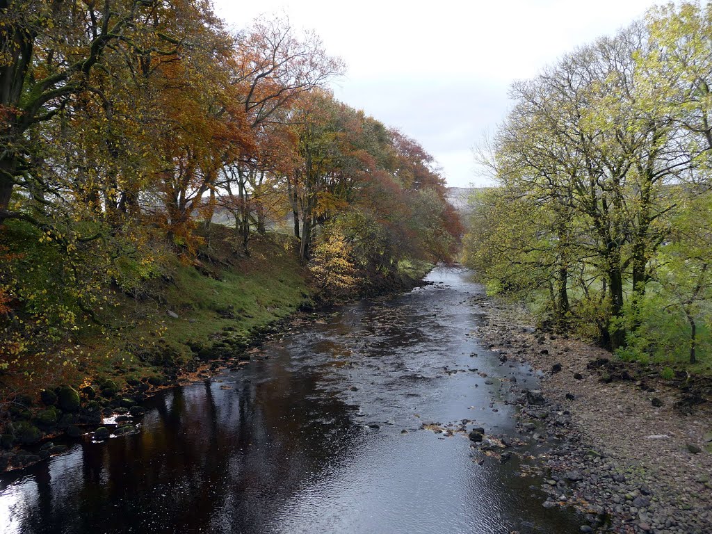 River Ribble by gort