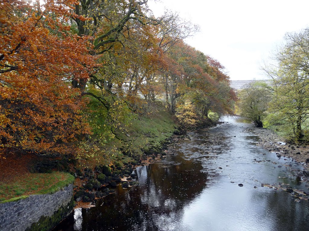 River Ribble by gort