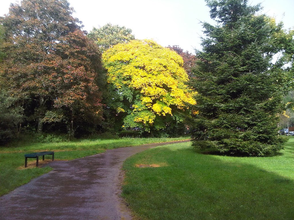 Heath Park in the Autumn by Dave Mackay gmail address