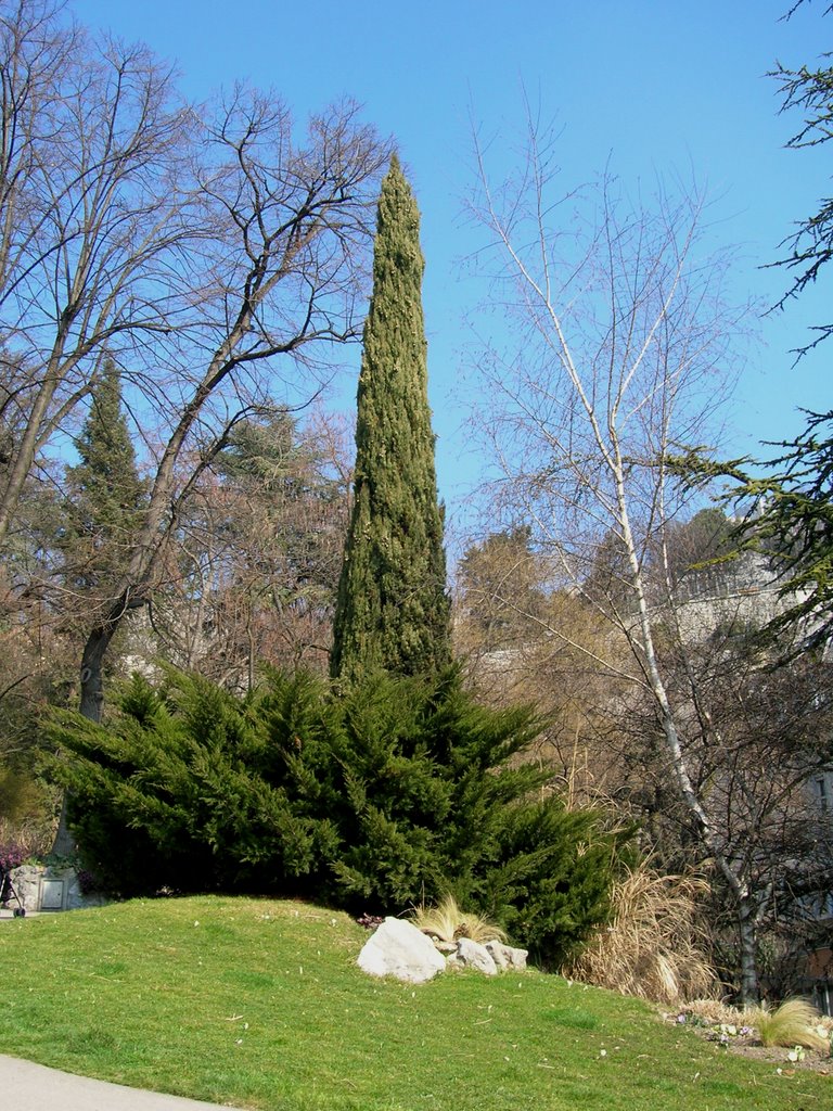 Jardin des Dauphins by Boumlik M.