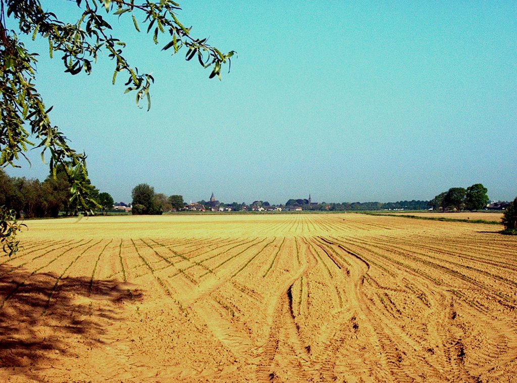 Toldijk - Skyline van Steenderen by Jo-Ri-To