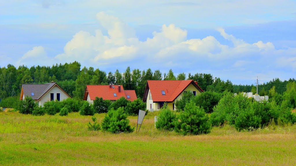 Aleje Jana Pawła II - widok z ulicy by Kazimierz .Mendlik