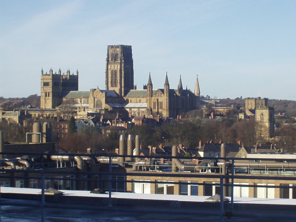 Durham Cathedral from Durham University Science Site by niklooker