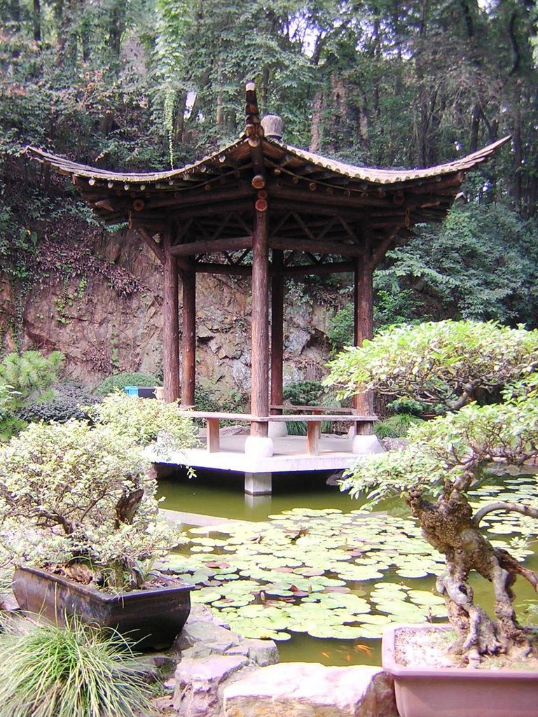 Hangzhou - Pagoda Liu He by maremagna