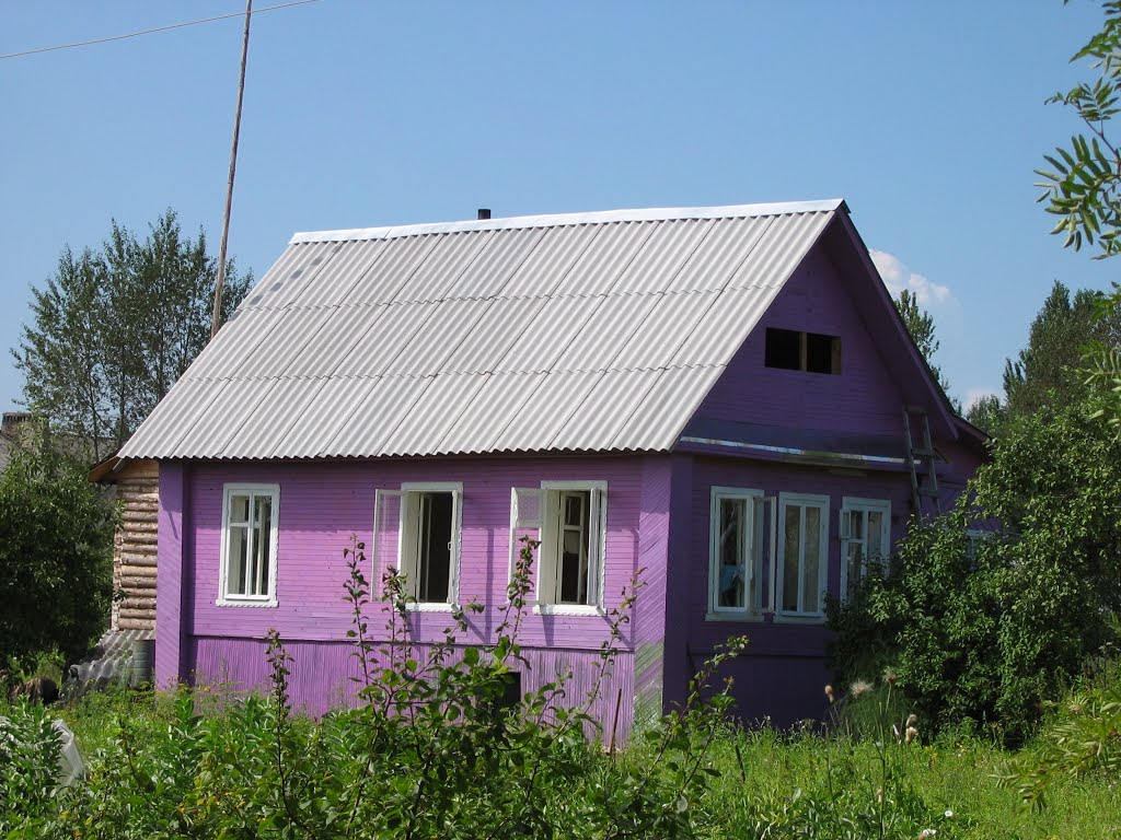 Ein schönes Holzhaus by J. Radtke