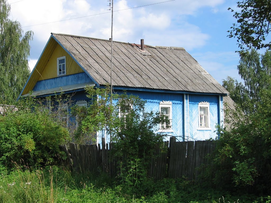 Ein schönes Holzhaus by J. Radtke