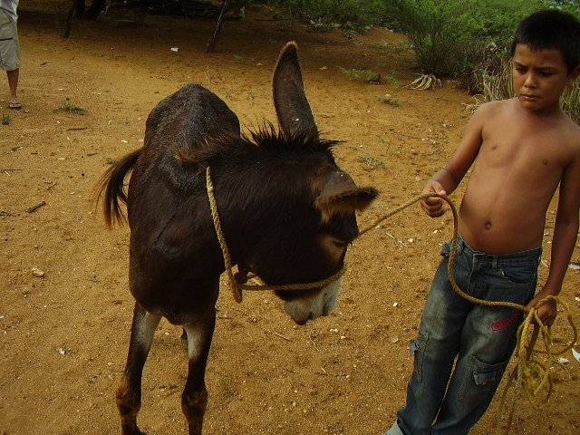 Niño paraguanero y su burro by marycielo