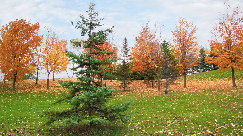 Centre De La Nature. (Laval, Québec, CANADA) by phamhoanghai