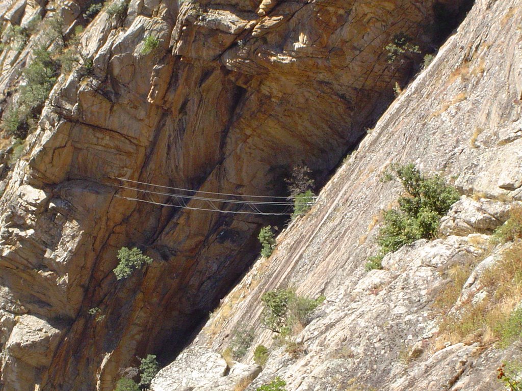 Pont de singe, Via ferrata by Rémi FOURDAIN