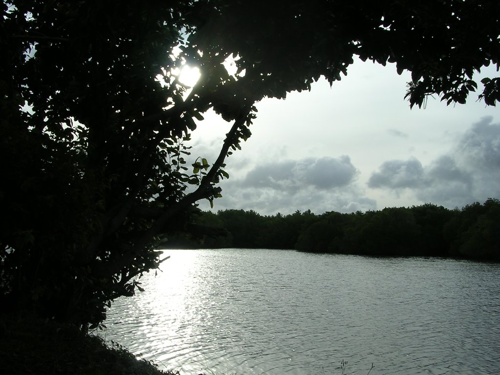 Palm Bay Lagoon by Marc F.