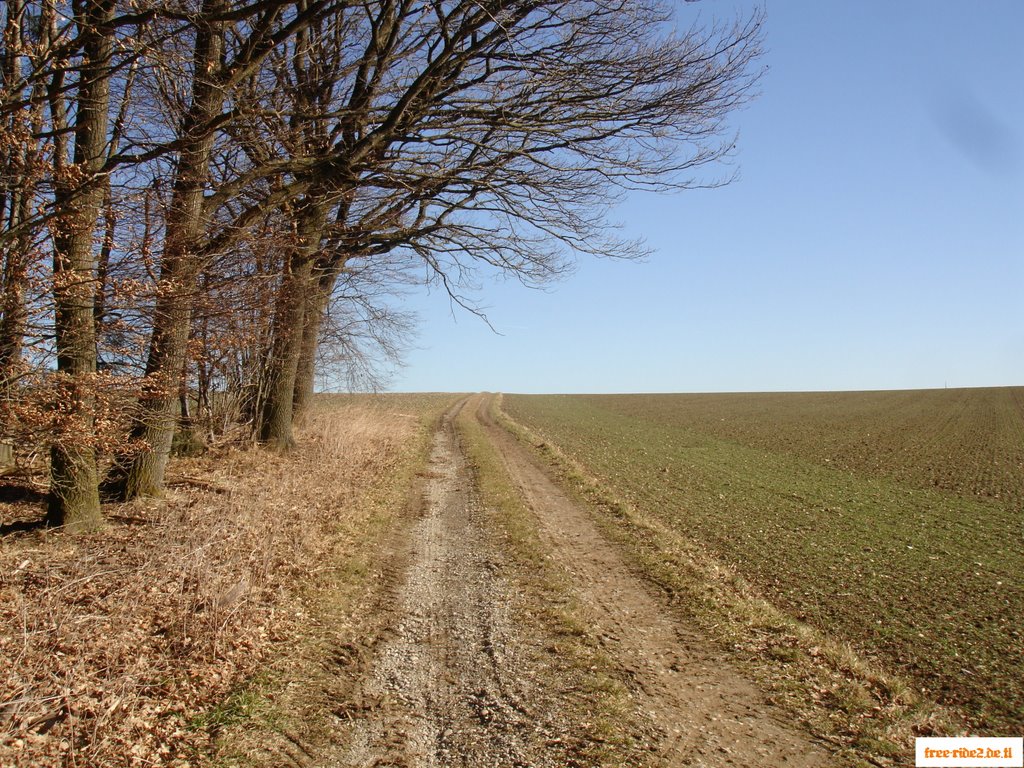 Feldweg by Joseph Bruckner