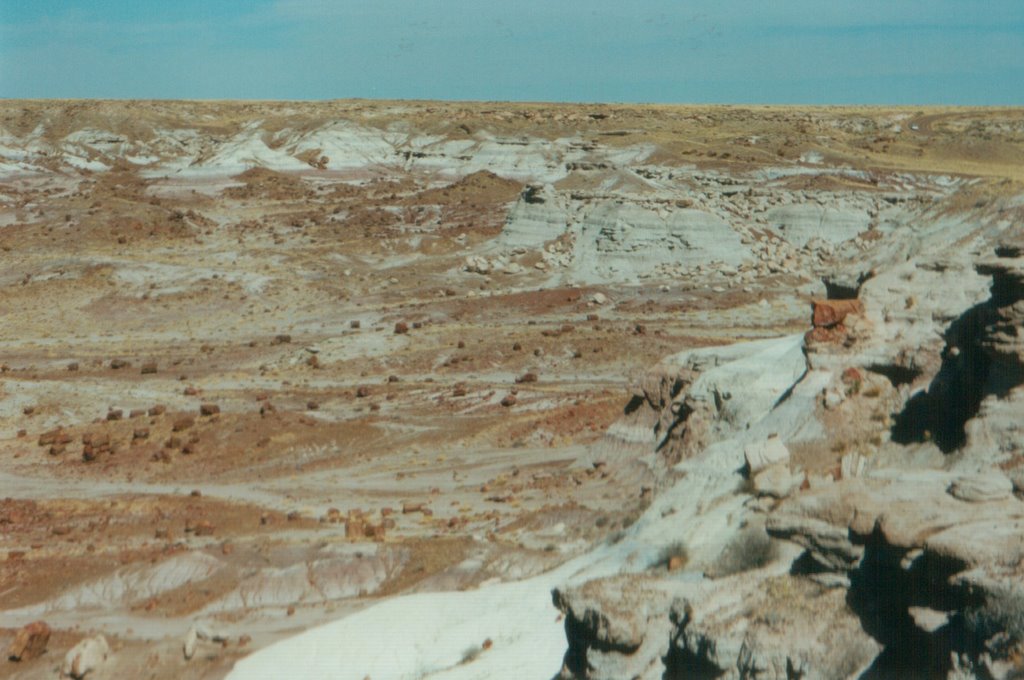 Petrified Forest,Arizona by Jean Herbrink