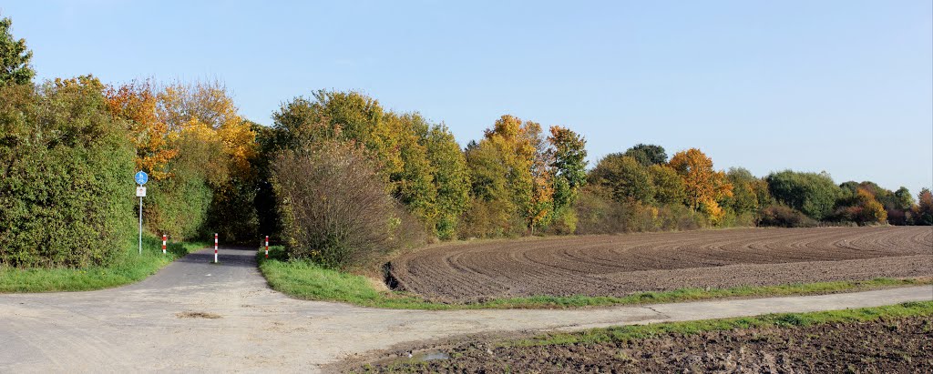 Herbst in Kempen - Otoño en Kempen by elcasique