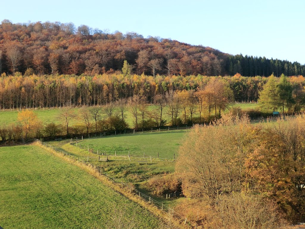 Grafschaft, Herbststimmung, 10-2012 by Ruediger Kellner