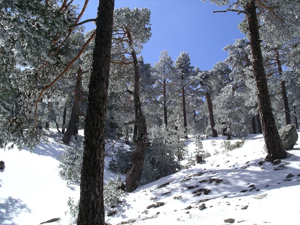 Navacerrada_2007 by Palolupe