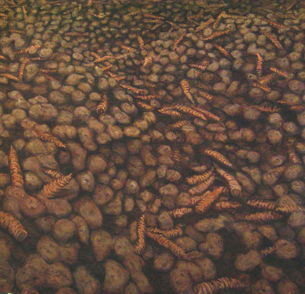 Patatoes 'nd Carrots 2007, 195x195, www.ateliermoa.nl / www.david-moinot.com by davidmoinot