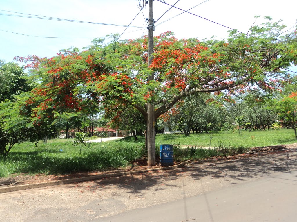 Rua Alfredo Veloso de Moura, Jardim Novo Horizonte, Itaí/SP by Arkheon