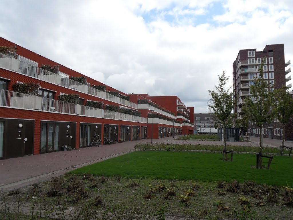 Venray - De Gouden Leeuw by Danny Danckaert