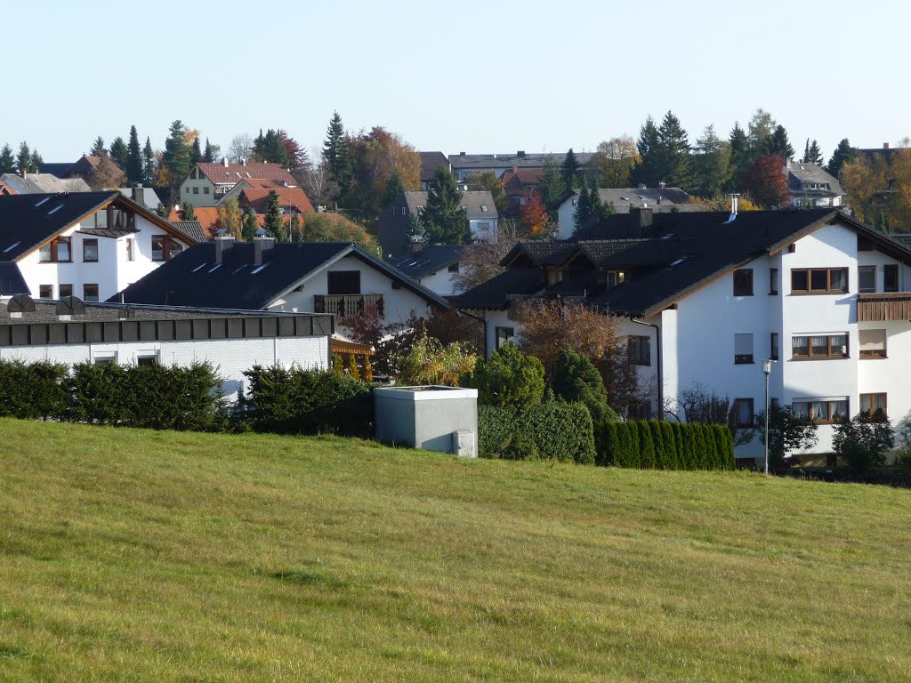 Neubausiedlung Höchenschwand by bienenritter