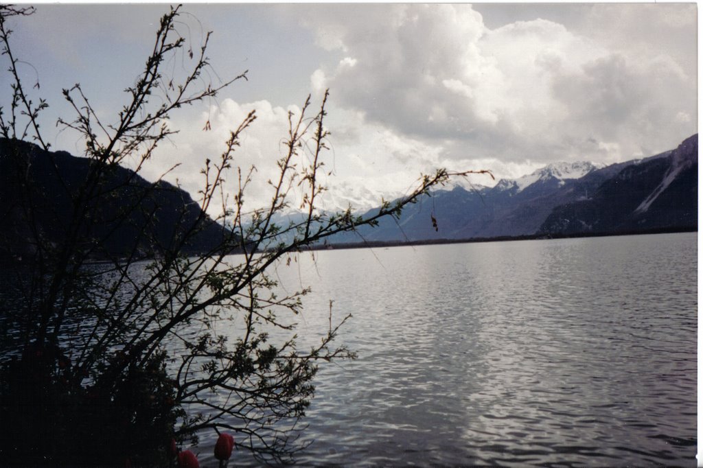 Lago Leman-Montreux by Juan Jesus Diaz