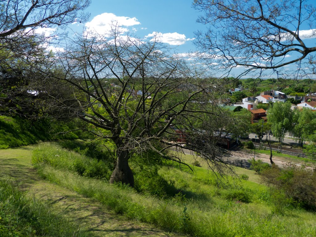 Camino que baja la barranca en el Museo Quinta Los Ombues (jfe) by jfe