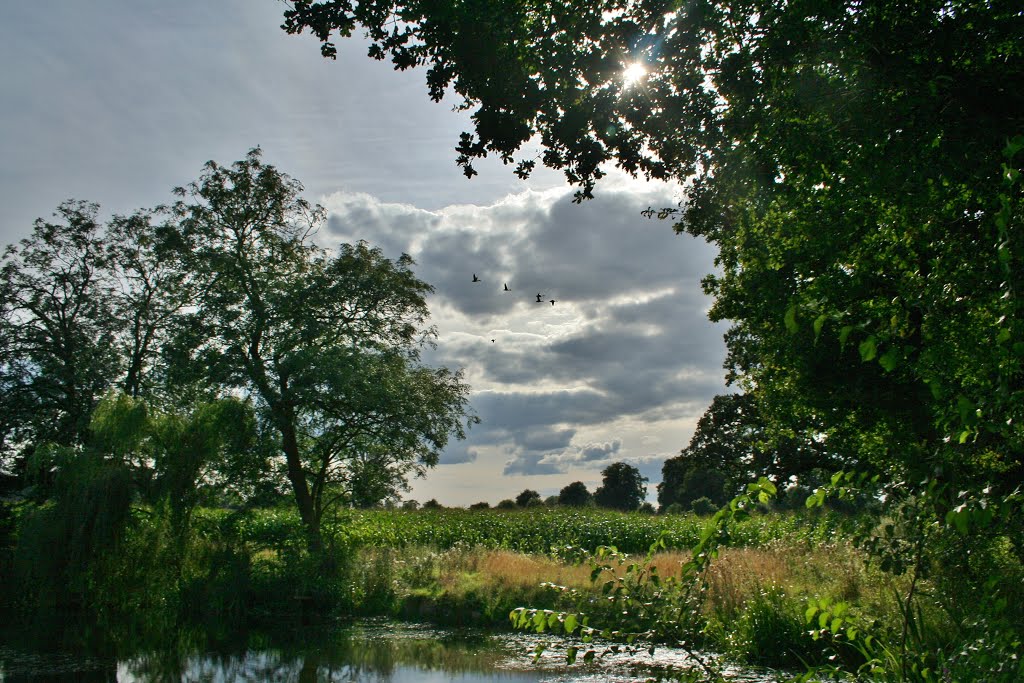 Albyns Lane Pond by Lee A Holmes