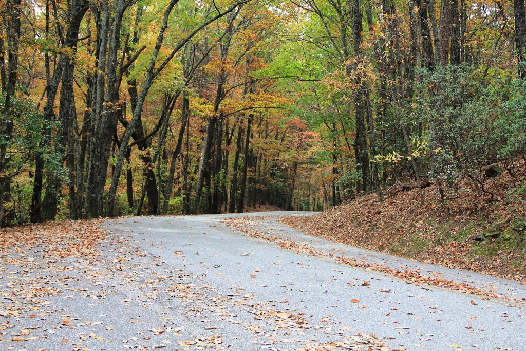 Table Rock State Park Road by Ed McDyer