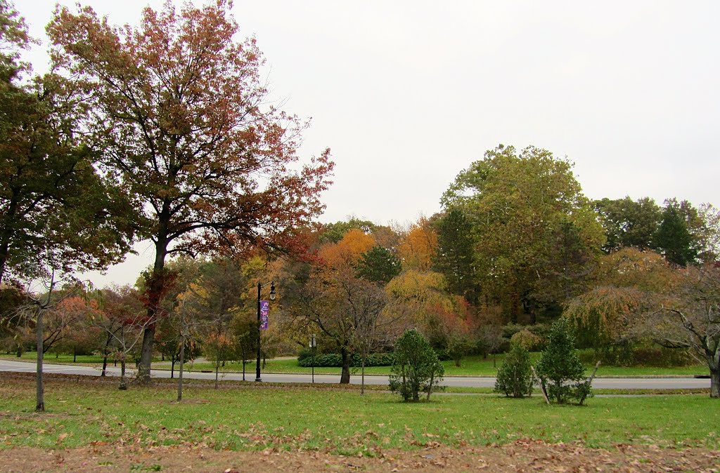 Branch Brook Park by Adam Elmquist