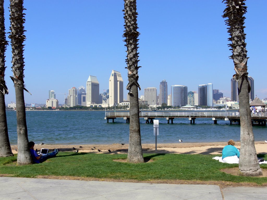 Ferry Landing at Coronado Peninsula by A.Feyh