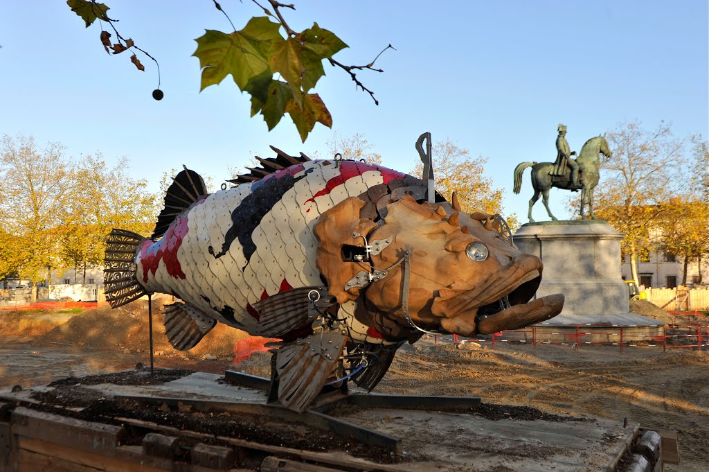 Place Napoléon , un pauvre poisson égaré au milieu de travaux dispendieux, on marche sur la tête en France !!! by markjone