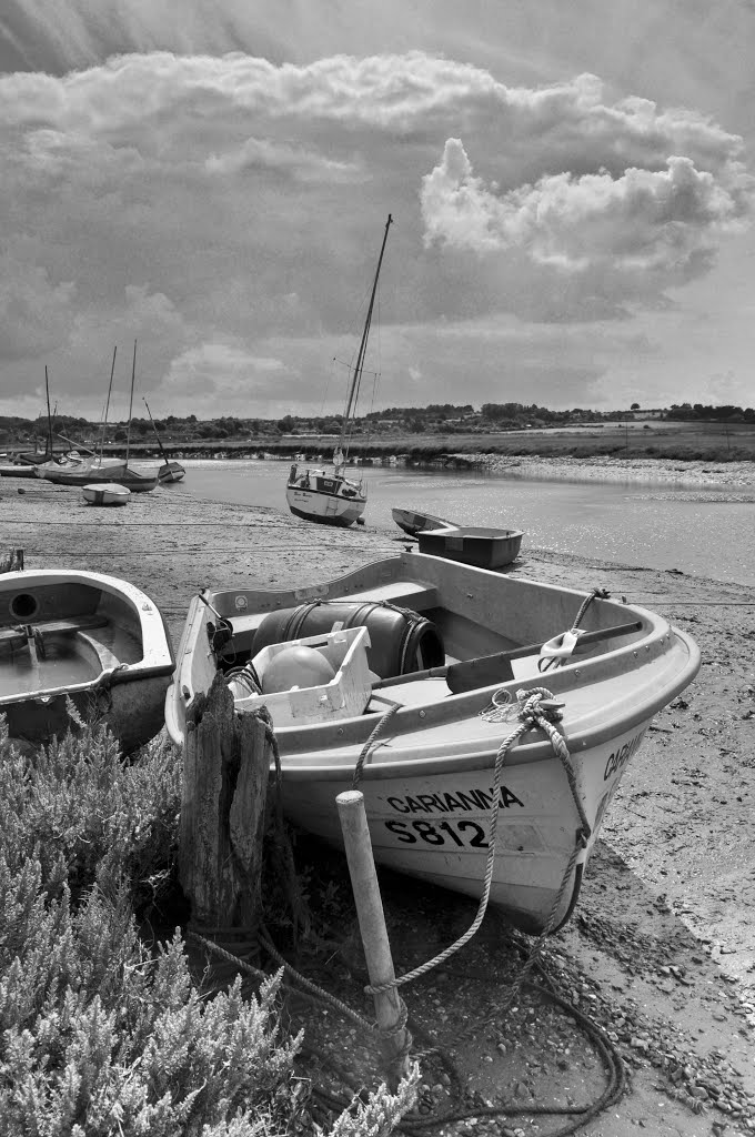 Muddy Banks by Chris Wignall