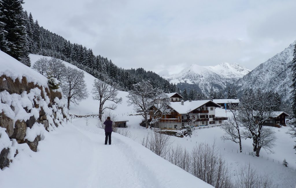 Oostenrijk - Kleinwalsertal - Mittelberg by Henny  Brouwers