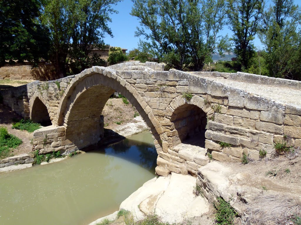 CIHURI (Valle del Tirón-La Rioja). 2012. 08. Puente romano sobre el Tirón. by Carlos Sieiro del Nido