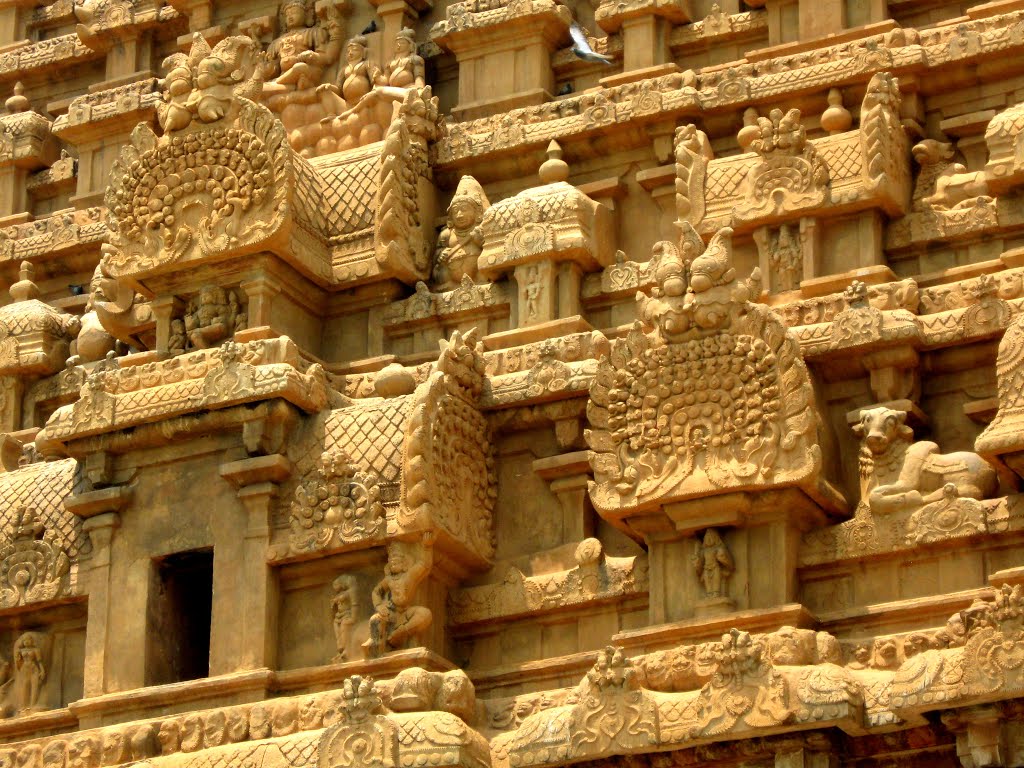 Brihadeeswarar Temple, Thanjavur by mohammad suhaib