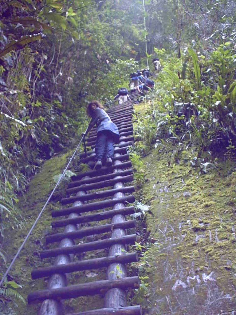 Escalera al Cº Putucusi by Julio Cortés G.