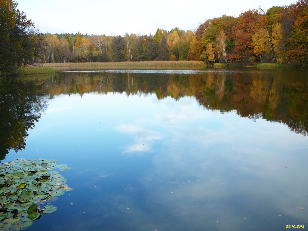 Malý Bolevecký rybník by petrkold