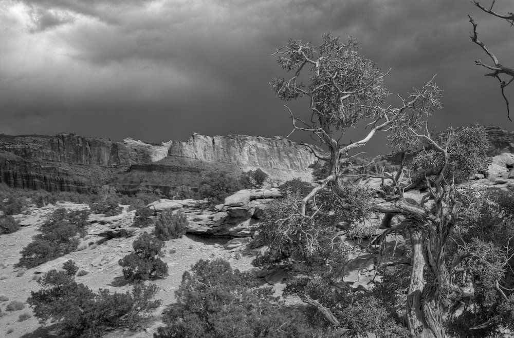 Goosenecks Overlook by David Thyberg